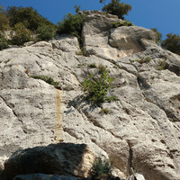 Left part of the Coccinella sector