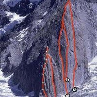 1. reflexion vertical; 2. un poco patagonia; 4. clandestino