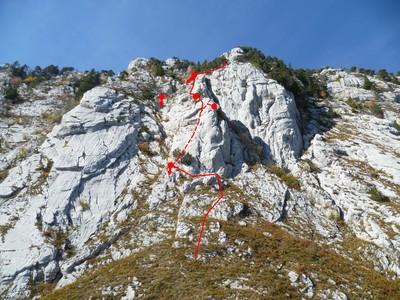 Schéma délirium