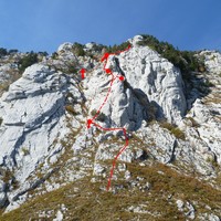 Schéma délirium