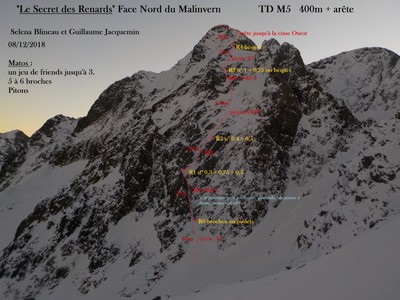 Topo "Le secret des renards"