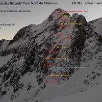 Topo "Le secret des renards"