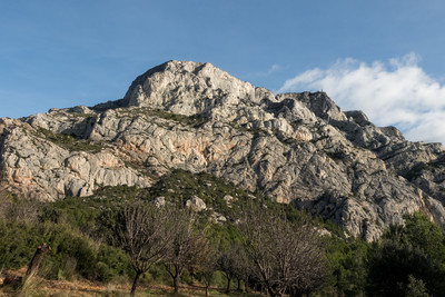 Paroi de la corniche - vue générale Paroi de la corniche - vue générale