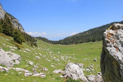 La prairie de l'Alpette La prairie de l'Alpette