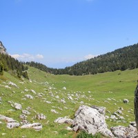 La prairie de l'Alpette