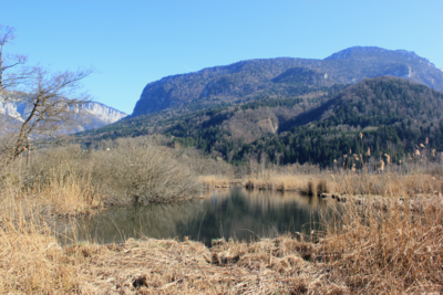 Les Tourbières de l’Herretang Les Tourbières de l’Herretang