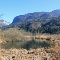 Les Tourbières de l’Herretang