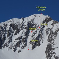 Z et échine SE