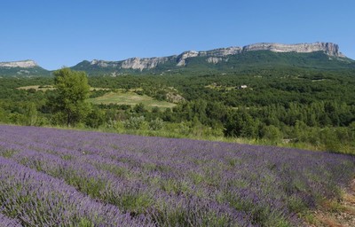 vallée des Duyes - GB - AD04 http://www.rando-alpes-haute-provence.fr vallée des Duyes - GB - AD04 http://www.rando-alpes-haute-provence.fr