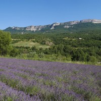 vallée des Duyes - GB - AD04 http://www.rando-alpes-haute-provence.fr