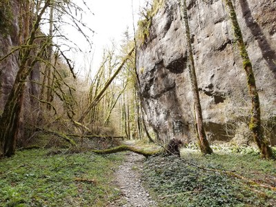 Au cœur du Bois de la Garde Au cœur du Bois de la Garde