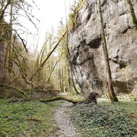 Au cœur du Bois de la Garde