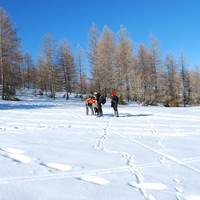 Bois de Ratéry_AD04