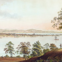 Reichenau, par Johann Ludwig Bleuler