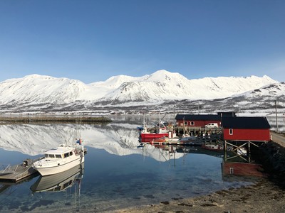 le Stetinden vu depuis Lenangsoyra (où l’on habite) le Stetinden vu depuis Lenangsoyra (où l’on habite)