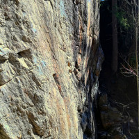 Wall