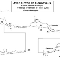 Aven Genneavaux COUPE - ROS Dominique 1998