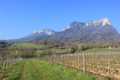 Les coteaux de Chapareillan dominés par le Granier Les coteaux de Chapareillan dominés par le Granier