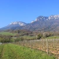 Les coteaux de Chapareillan dominés par le Granier