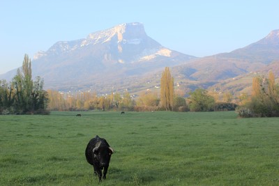 Le Granier depuis Myans Le Granier depuis Myans