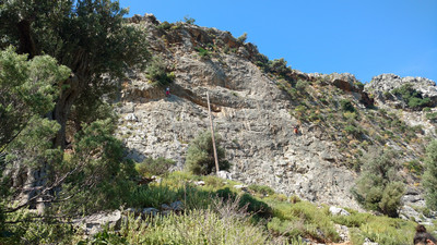 Alani wall