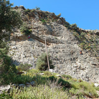 Alani wall