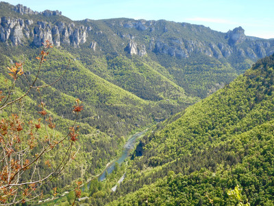 La vallée de la Jonte