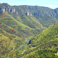 La vallée de la Jonte