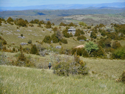 Le Causse
