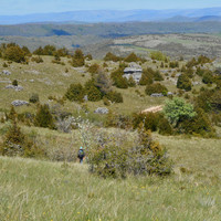 Le Causse