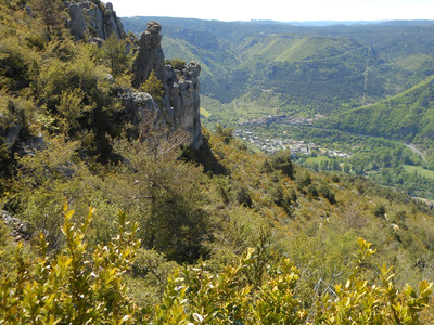 Vue au-dessus du Rozier 