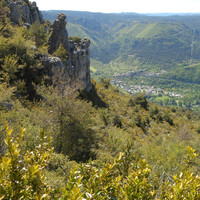 Vue au-dessus du Rozier 