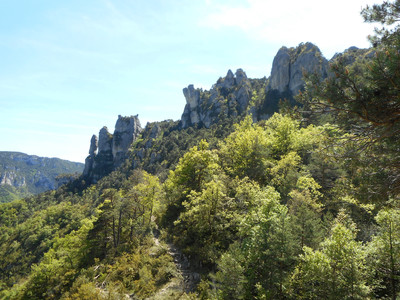 Causse Méjean 