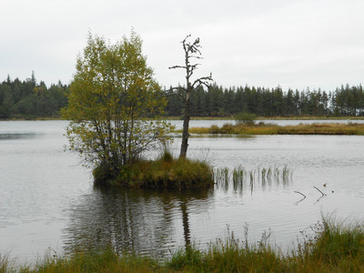 Lac de Servières 