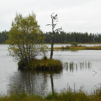 Lac de Servières 