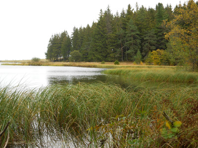 Lac de Servières 