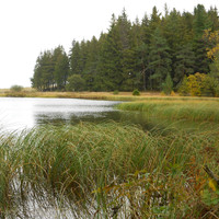 Lac de Servières 