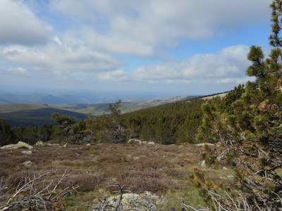 Mont Lozère 