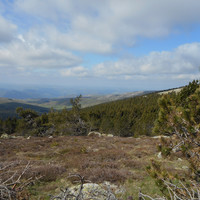 Mont Lozère 