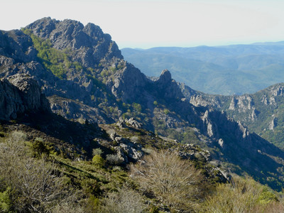 Vialais