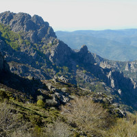 Vialais