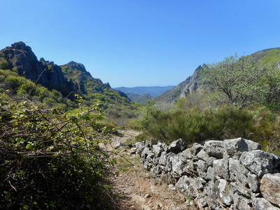 Vialais