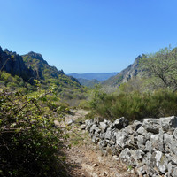 Vialais
