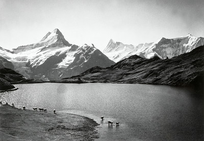 Bachalpsee, Lauteraarhorn, Schreckhorn, Finsteraarhorn, Fiescherhorn par Werner Friedli Bachalpsee, Lauteraarhorn, Schreckhorn, Finsteraarhorn, Fiescherhorn par Werner Friedli