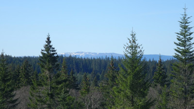 Vue sur les Monts du Forez - Crédit Photo : Alain Bellon