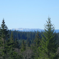 Vue sur les Monts du Forez - Crédit Photo : Alain Bellon