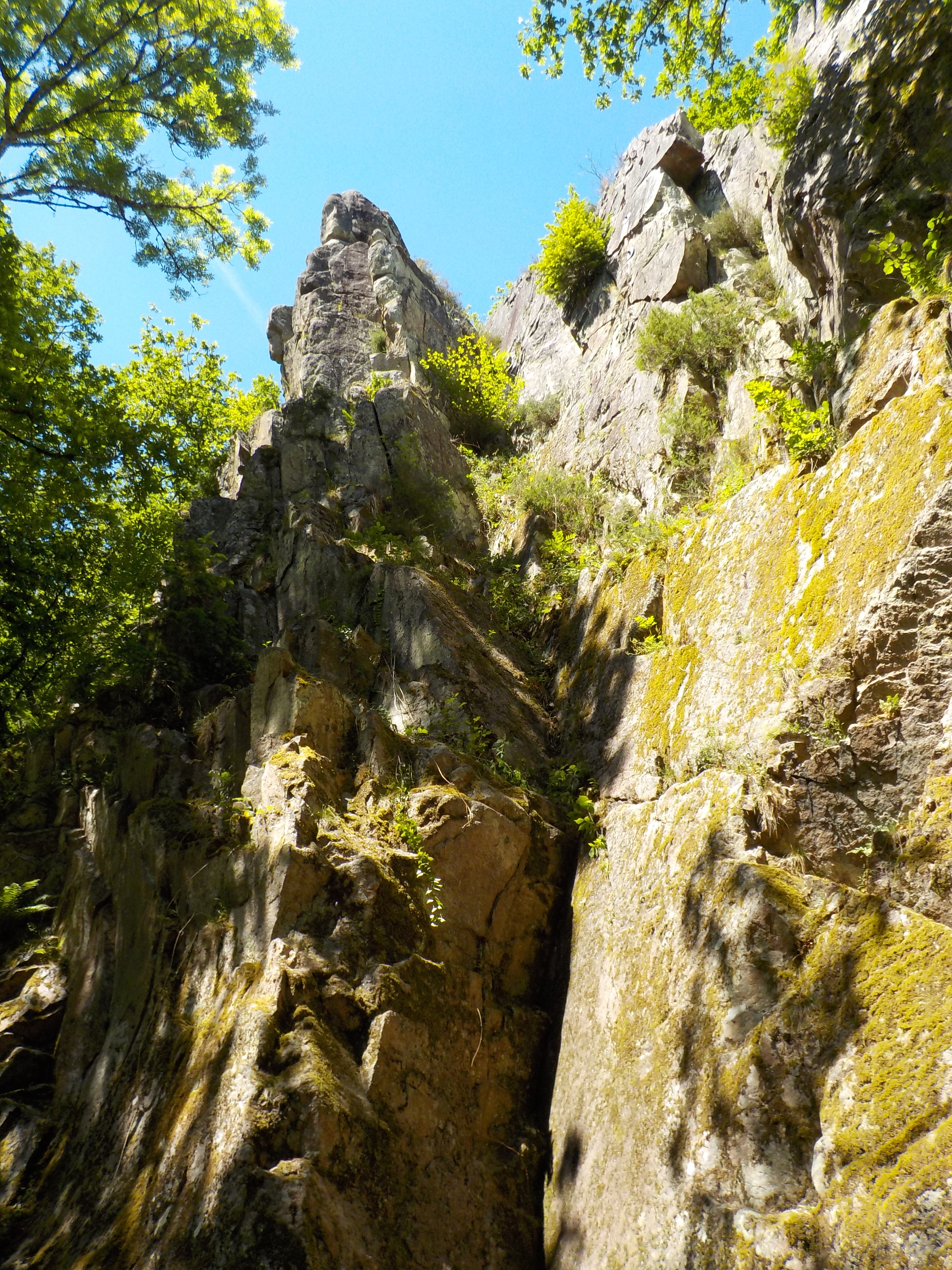 Vue d'ensemble - milieu.