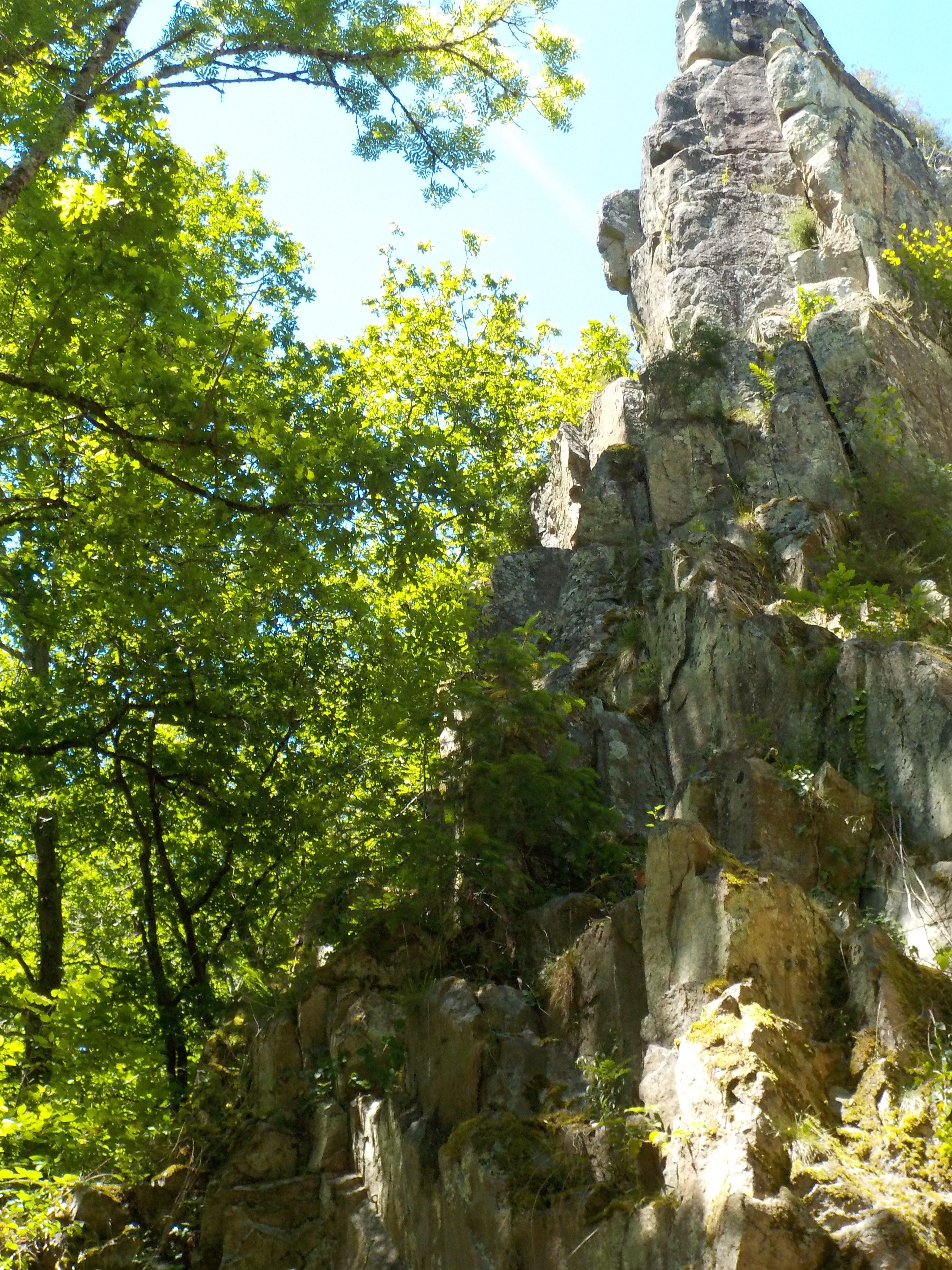 Pied des voies - côté Ouest