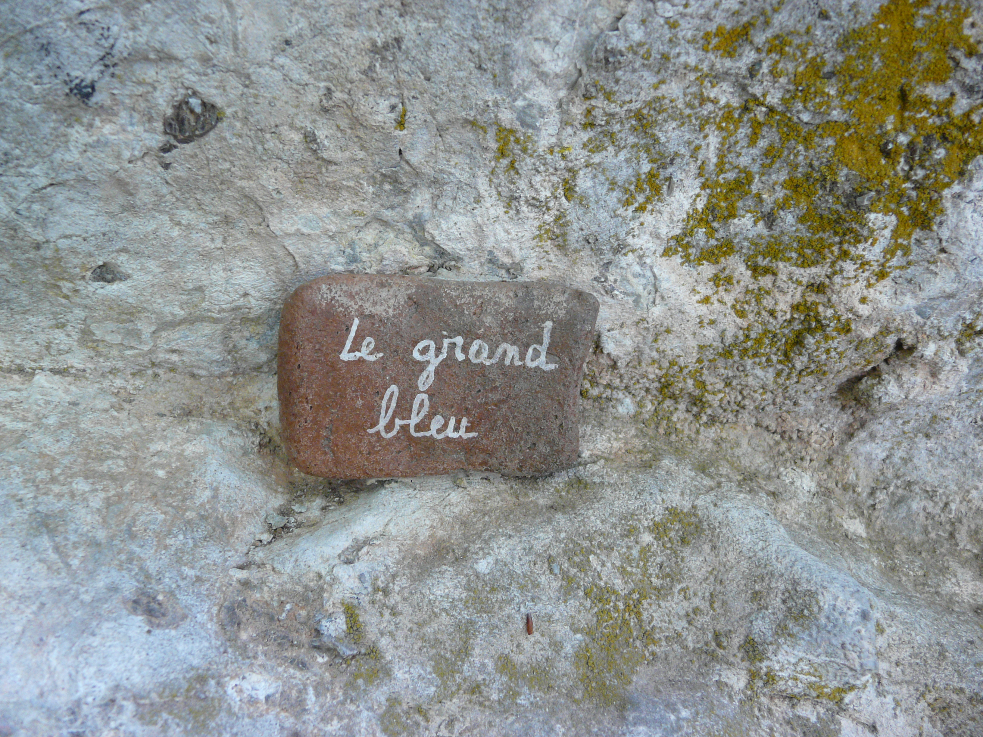 L4 : Le grand bleu