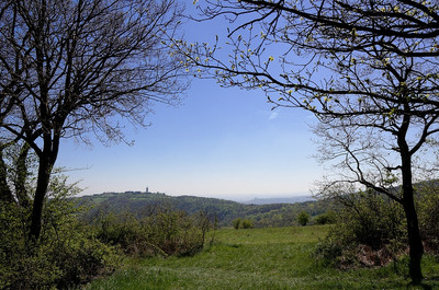 Vue sur le Mont Cindre - Crédit photo : Yann Bretonniere